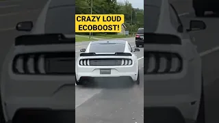 CRAZY LOUD! Ford Mustang ECOBOOST TURBO w/ STRAIGHT PIPES! #shorts