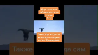 Видео из тик-тока №8 #shorts #tiktok #memes #мем #мемы  #meme  #тикток