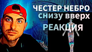 Честер Небро снизу вверх — РЕАКЦИЯ