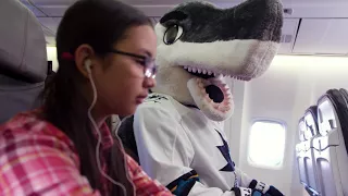 Sharks on a Plane