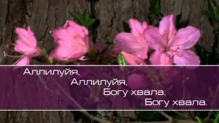 Христианское поклонение. Сборник №55