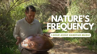 Nature's Frequency | 1 Hour 432hz Handpan Music | Taylor Sol