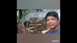 PAANO GUMAWA NG ULING OR CHARCOAL MULA SA PUNONG KAHOY PART 2