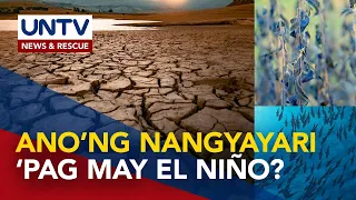 Ano ang El Niño phenomenon at ano ang posibleng maging epekto nito?