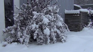 Winter First snowfall in Norway 2019