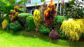 3 IDEAL AND BEAUTIFUL VILLAGE HOUSE GARDENS/GAVE YOU MORE GARDENING IDEAS