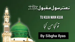 Tu Kuja Man Kuja Naat || Amazing Naat 2024 Slow And Reverb || Beautiful Naat By Sibgha |Urdu Lyrics