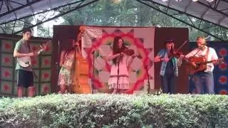 "Yell In the Shoats" by Strictly Strings, Fiddlers Grove 2016