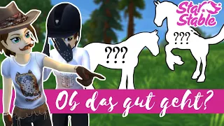 Mein Freund kauft mir ein Pferd 🐴🙈 - Reaktion auf Pferdekauf Video - [SSO] Star Stable Online