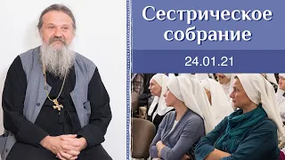 Опыт преодоления себя. Сестрическое собрание с о. Андреем Лемешонком 24.01.2021