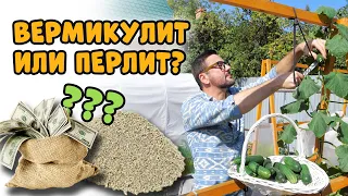 Вермикулит или перлит, что лучше? Сколько стоит посадить огурцы?