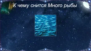 К чему снится Много рыбы (Сонник)