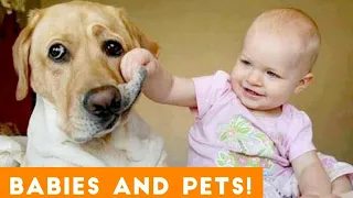 🤣Ultimate Cute Pets vs. Epic Kids Fails Compilation | Funny Pet Videos🤣 (2020)