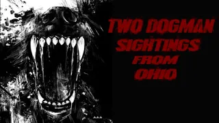 Two Dogman Sightings From Ohio