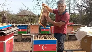 1 çərçivə ilə bölgü aparmaq, yeni ailə yaratmaq.