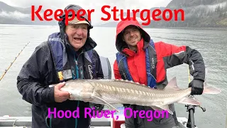 Awesome Keeper Sturgeon fishing in Hood River, Oregon.