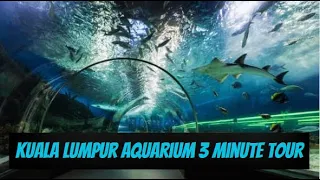 Kuala Lumpur Aquarium 3 minute Tour