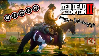 მოკლე მიმოხილვა / Red Dead Redemption 2