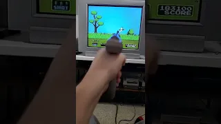 Duck Hunt