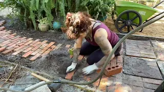 Create an Old Brick Path— DIY Timelapse