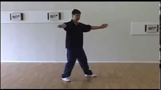 Yang Family Tai Chi high pat on horse, separation kicks