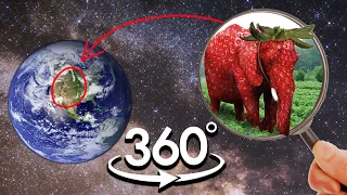 FIND STRAWBERRY ELEPHANT | Strawberry Elephant Meme Finding Challenge VR 360º