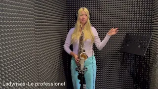 Ladynsax-Le professionel