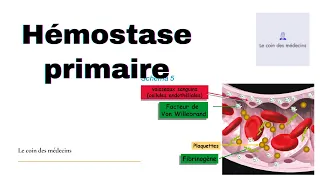 Hémostase primaire