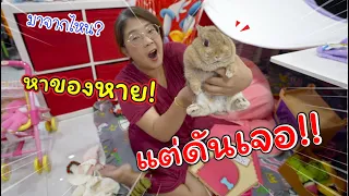 หาของหายแต่ดันเจอ! กระต่าย!! มาได้ยังไง? | แม่ปูเป้ เฌอแตม Tam Story