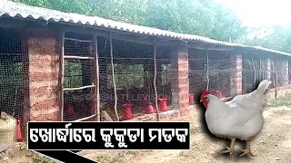 Bird Flu Scare | Poultry Deaths Reported From Farm In Khordha