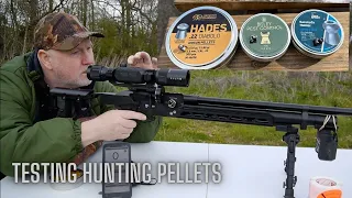 Testing Hunting/Pest Control Pellets with FX Dreamline Saber Tactical .22 & Wulf 4Kscope