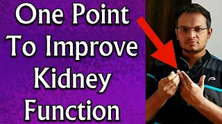 Acupressure Points For Proteinuria || Protein In Urine || Improve Kidney Function