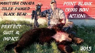 Manitoba Black Bear Cross bow bear hunting Manitoba Canada learn where to place arrow