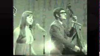 the seekers I´ll never find another you (nunca encontraré otro como tú) subtitulada al español