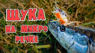 Ловля щуки на микроречке на воблеры