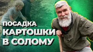 Ошибки соломенного земледелия//Живая Баня Иван Бояринцев