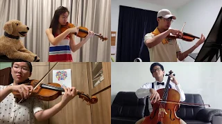 Married Life - From Pixar's 'UP' (String Quartet Cover)