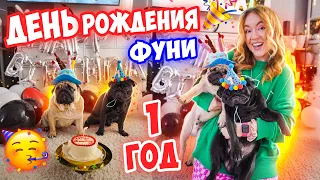 ОТМЕЧАЕМ ПЕРВЫЙ ДЕНЬ РОЖДЕНИЕ ФУНТИКА 🥳 Ржачный Влог 😃