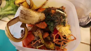 Food Scrap Recycling 101: From Your Kitchen to Your Curbside Bin