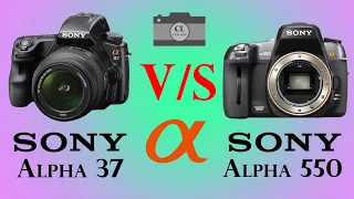 Sony Alpha 37 vs Sony Alpha 550
