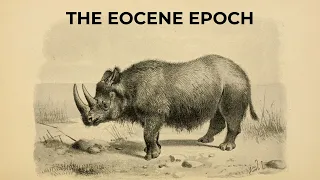 The Eocene Era