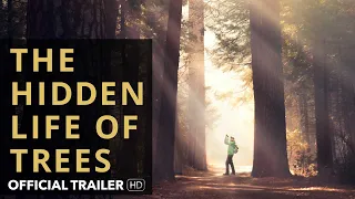 THE HIDDEN LIFE OF TREES Trailer [HD] Mongrel Media