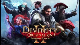 Playing Divinity 2 with friends ~ Ep 1