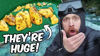 I FOUND WHERE THE BIG GOLD NUGGETS ARE!