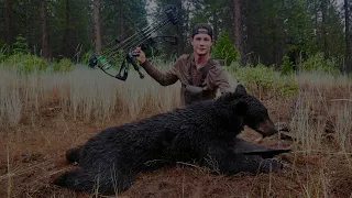 CA Archery Bear Hunt D-7 Public Land