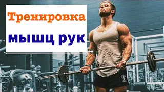 Как накачать ОГРОМНЫЕ мышцы рук? | Джефф Ниппард