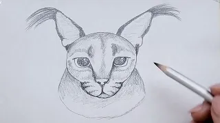 HOW TO DRAW A CAT EASY STEP BY STEP