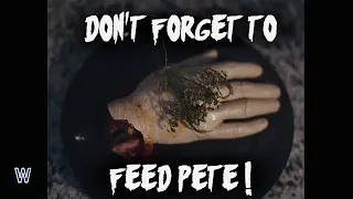 Horror Short Film - DON'T FORGET TO FEED PETE!