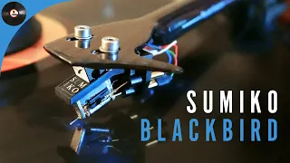 Очень удачная голова. Обзор Sumiko Blackbird