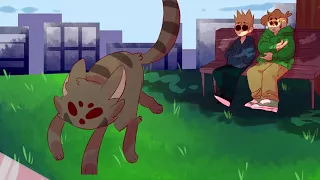 Kagerou Days| Eddsworld| Animation(Short)